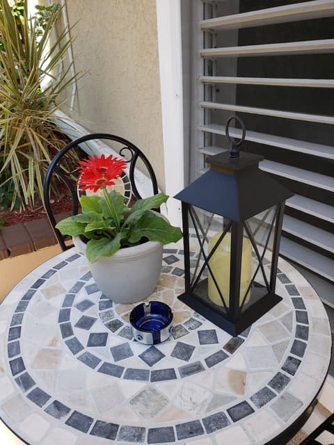 Millsborough B&B, Terrace/patio