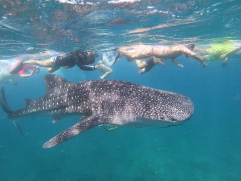 Ocean Beach Inn - Maldives