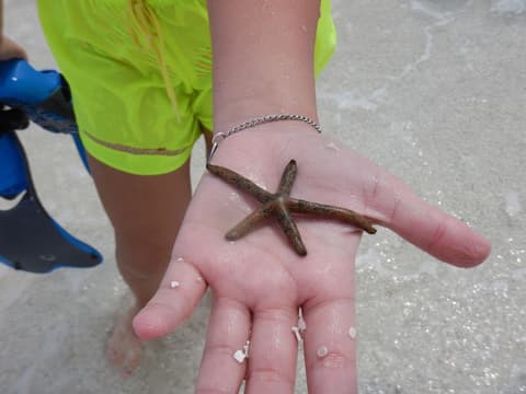 Ocean Beach Inn - Maldives