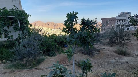 Petra Guests Hotel, Terrace/patio