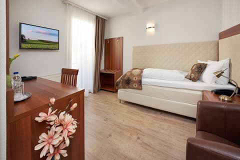 Hotel Meyerhof Lörrach, Room