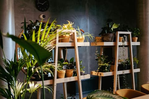 Hotel GUESTapart, Lobby