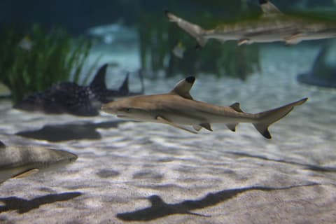 Holiday Inn Express Oberhausen by IHG