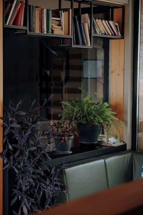 Quadrum Ski & Yoga Resort