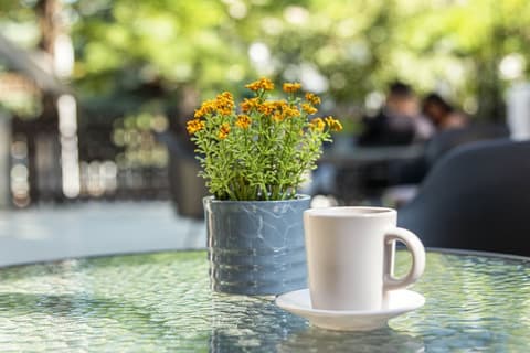 Richter Pansion, Terrace/patio