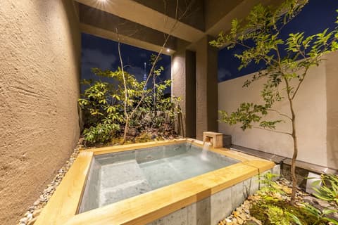 Cyashitsu Ryokan Asakusa