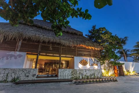 Lotus Beach Hotel - Adults Only, Reception