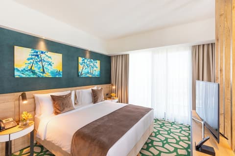 Lankaran Springs & Wellness Resort, Room