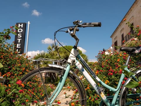 Lobby Collective Hostel