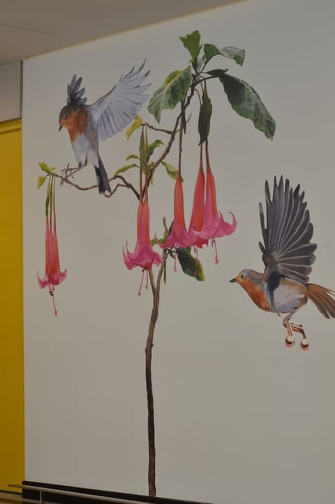 Arawi Miraflores Express