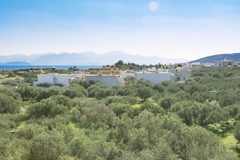 Elounda George Studios