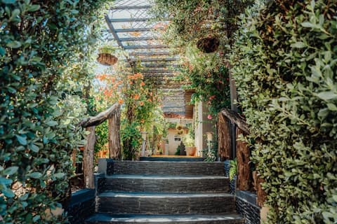 Hotel RH Boutique Aruba