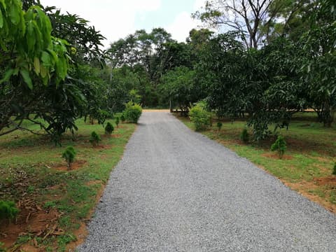 Abawaththa Guest House