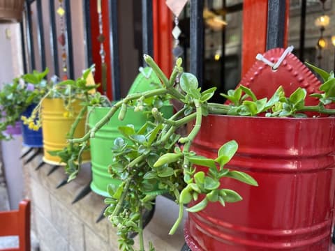 Sekercigiller Konuk Evi