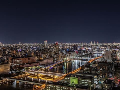 APA Hotel & Resort Ryogoku Ekimae Tower, View from room