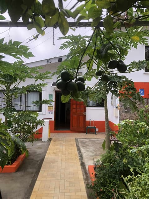 Papaya Guesthouse