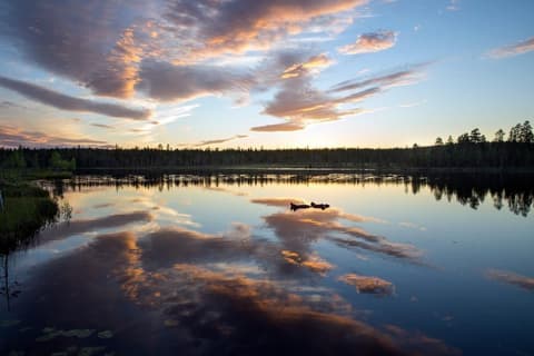 Ounasvaara Lakituvat chalets