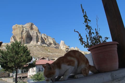 Tafana Cave & Stone Lodge