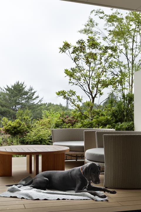 SORANO Hotel, View from room