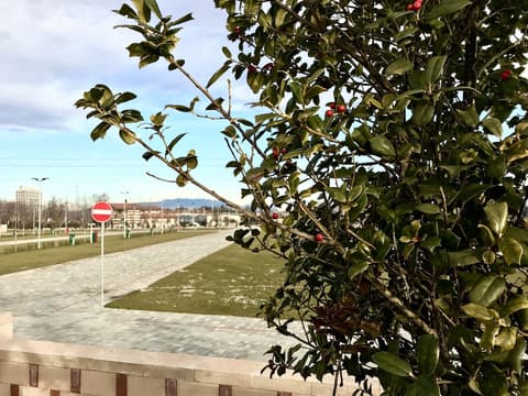 Camping Verona Village