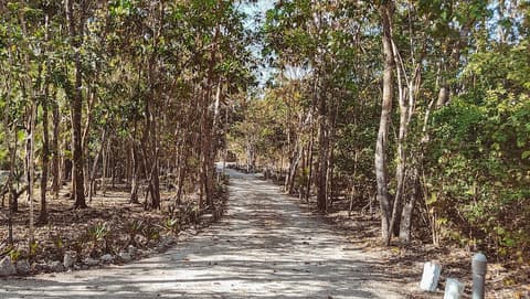 MBH Maya Bacalar Hotel Boutique, Room