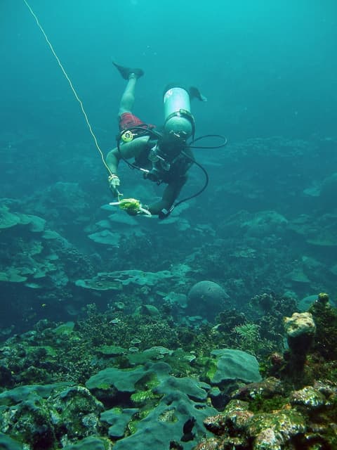 Hotel San Pedro de Majagua