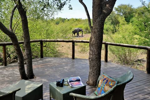 Motswiri Private Safari Lodge, Terrace/patio