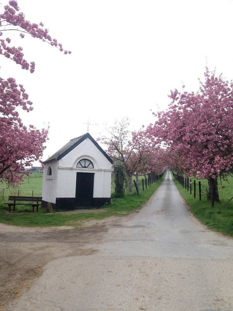 B&B Baron's House Neerijse - Leuven
