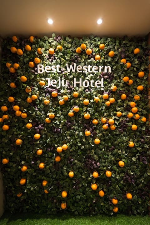 Best Western Jeju Hotel