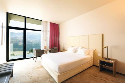 Douro Palace Hotel Resort and Spa, Room
