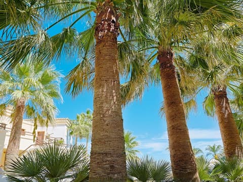 Grecotel Marine Palace & Aqua Park, Room