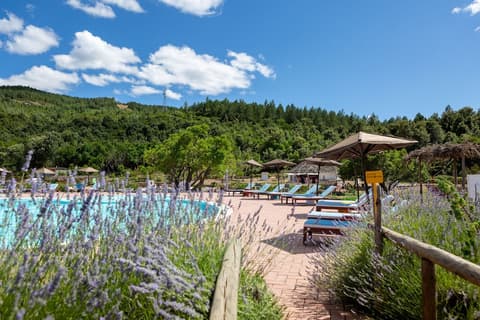 Eco Hotel Orlando, Outdoor pool