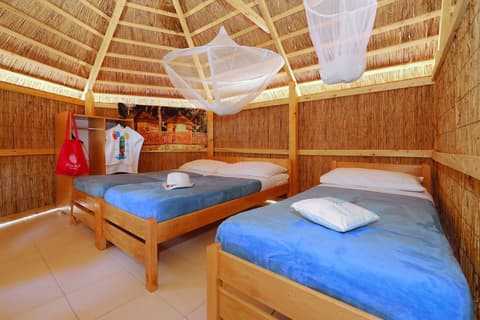 Pine Beach Pakostane - All Inclusive light, Room