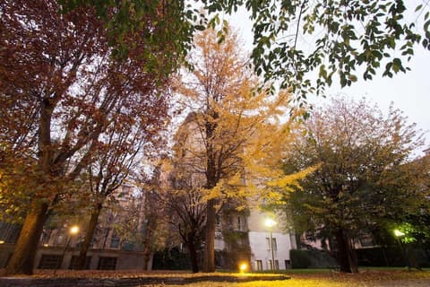 IH Hotels Milano ApartHotel Argonne Park, Property grounds