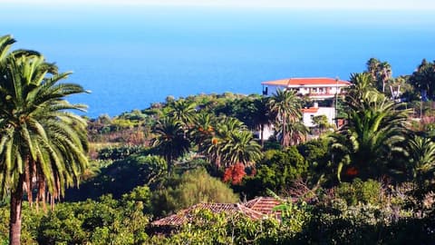 Apartamentos Miranda