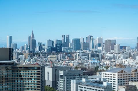 Toshi Center Hotel Tokyo, Room
