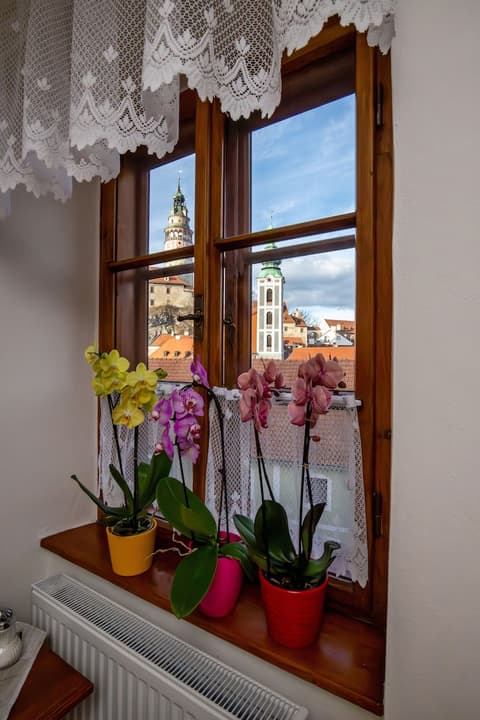 Pension Nostalgie - Minihotel