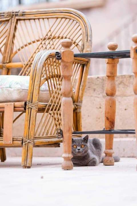 Nature Park Cave Hotel, Terrace/patio