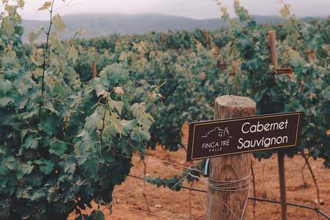 Finca Tre Hotel And Villas Resort