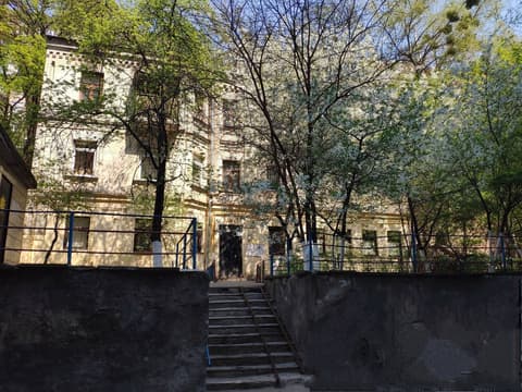 Friends Forever - Hostel