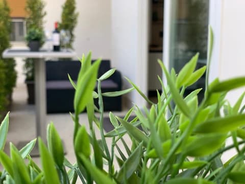 Thalya Luxury Rooms