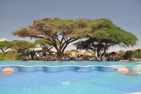 Kilima Safari Camp, Pool