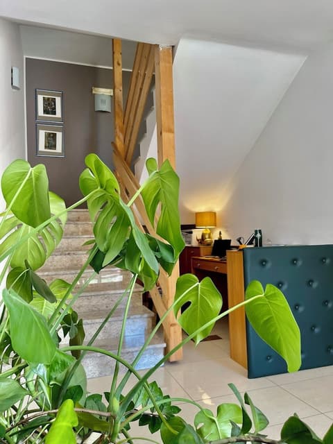 Aparthotel Gaja