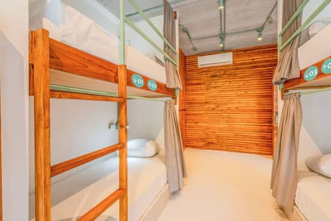 Mayan Monkey Isla Mujeres | Social Hotel