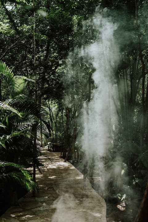 Copal Tulum Hotel, Terrace/patio