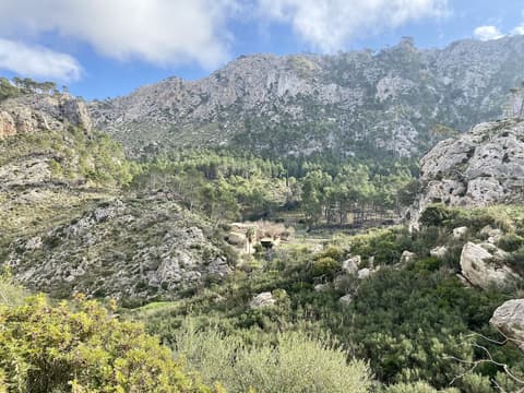 Finca Ses Fontanelles