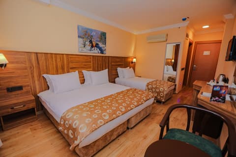 Emin Koçak Thermal & Spa - Convention Center, Room