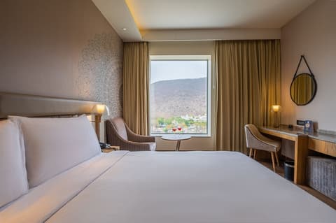 Doubletree by Hilton Jaipur Amer, Room
