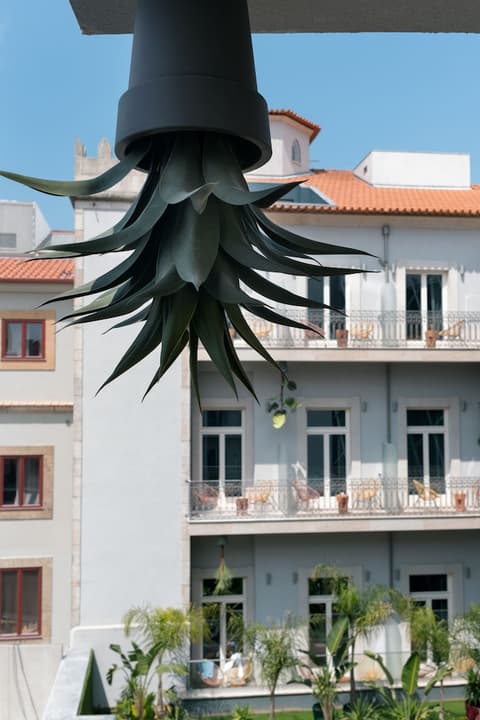 Chic & Basic Gravity, Terrace/patio