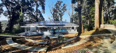 The Tall Trees Munnar